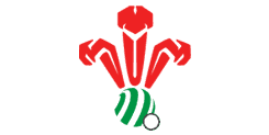 Welsh Bowls