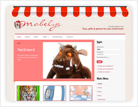 toy shop web design in Cardiff